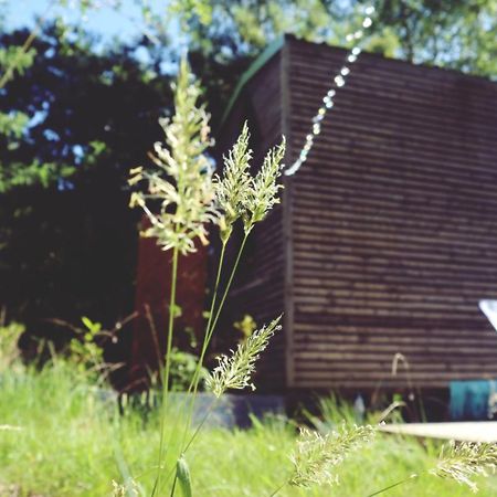 Hotel Tiny house ocean Naujac-sur-Mer Exteriér fotografie